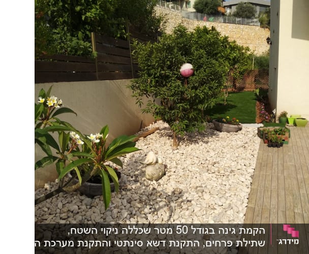 גינה עם עצים, שיחים ואבנים לבנות